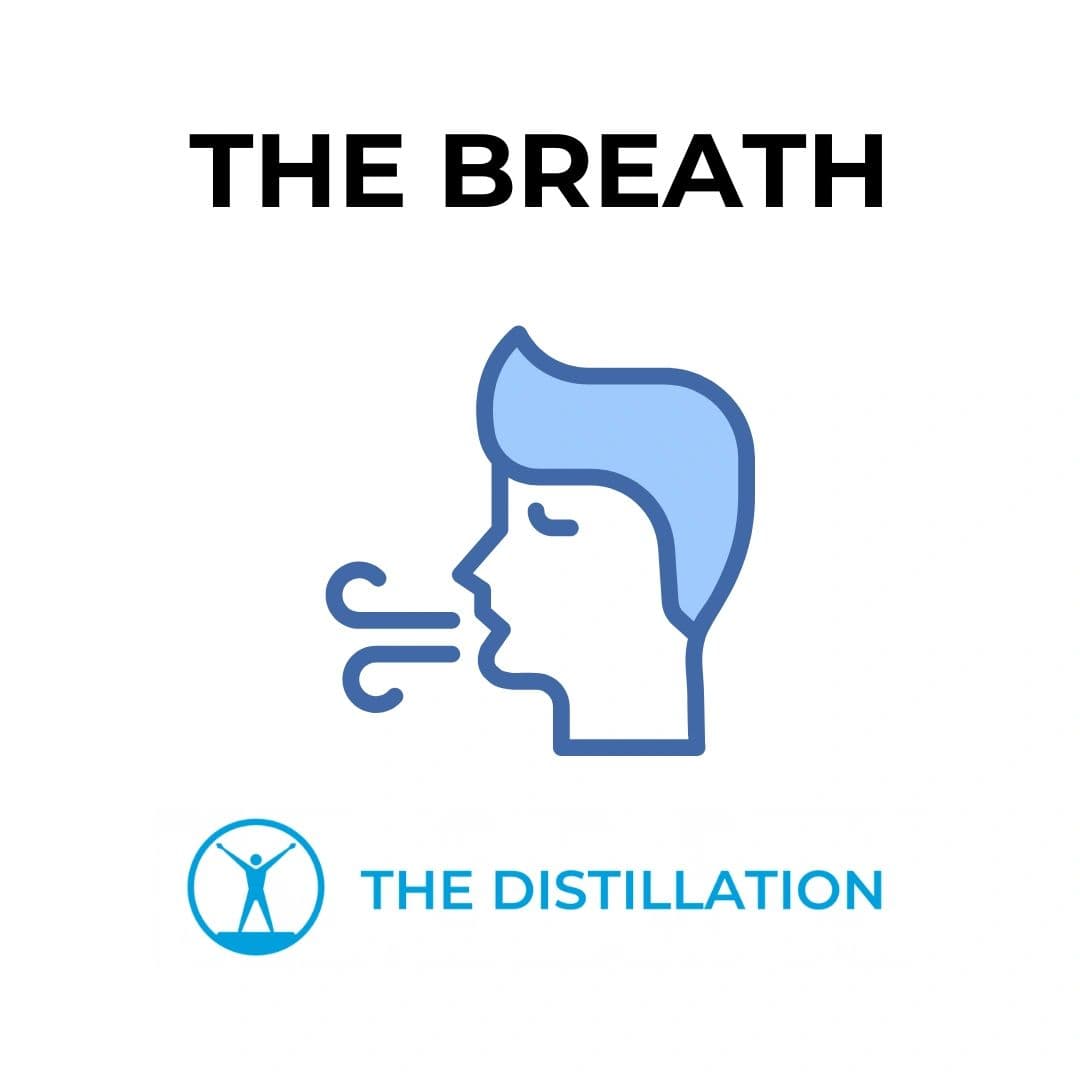 Navigating Life’s Rhythms: Unveiling the Hidden Wisdom of Breath