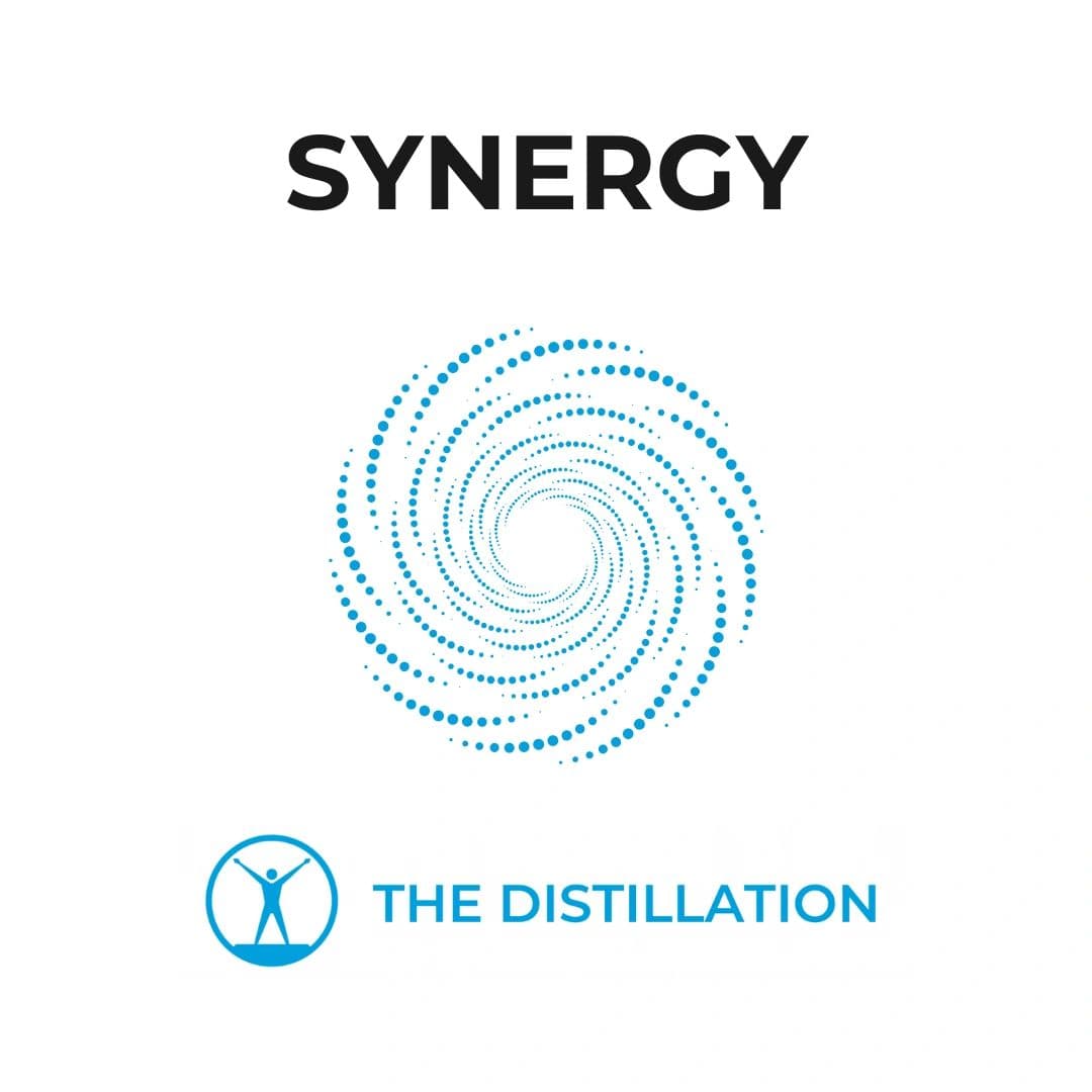 Synergy: Leveraging Self-Organization to Elevate Your Life