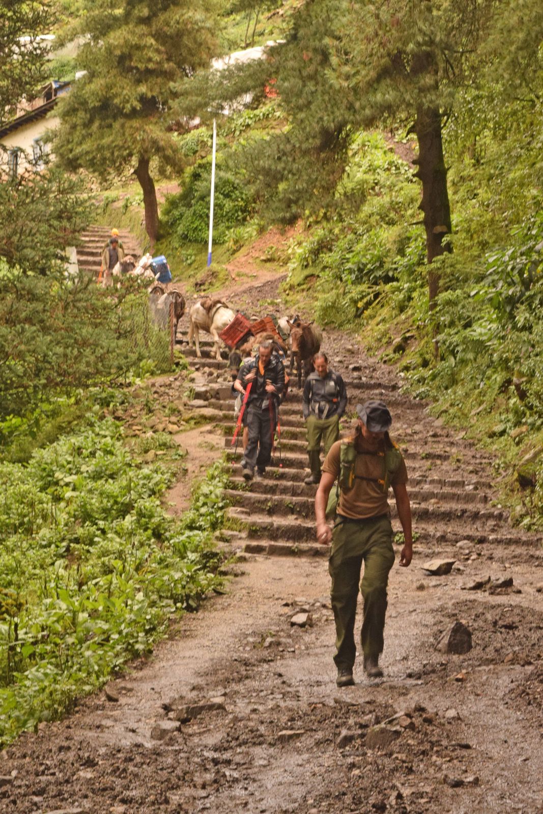 The trail from Namche Bazaar down to Lukla on the Everest Base Camp descent